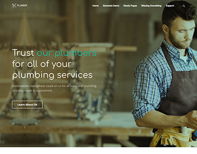 Landing Page - Plumbing business Website