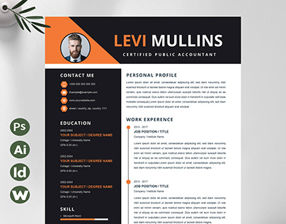 Certified Public Accountant Resume template