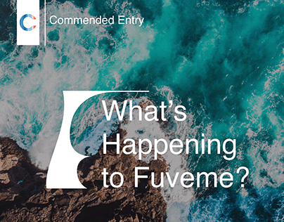 Data Visualization: What’s Happening to Fuveme?