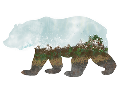 The Illustrated Bear