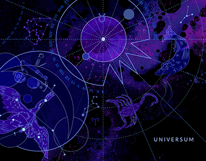 Проект товарной линии Universum