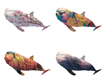 The Dolphin Series