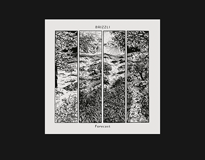 BRIZZLI | EP cover