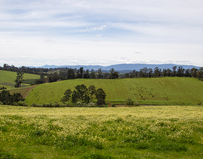Gembrook Photography - October 2022