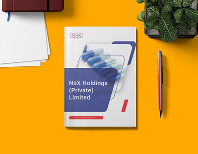 NiiX Holdings | Company Profile | 2023