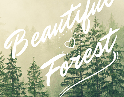 BEAUTIFUL FOREST CELPHONE REDMI 9 SAMSUNG GALAXY