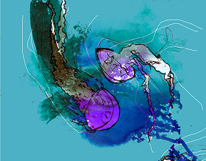 Illustration with Jellyfish