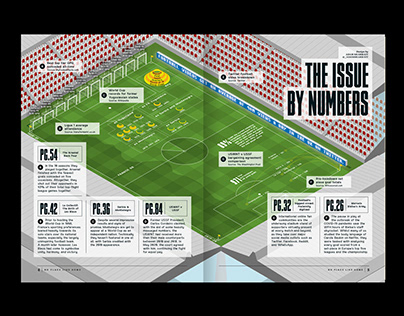 The Issue by Numbers Infographic – 02