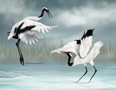 Japanese Red-crowned cranes