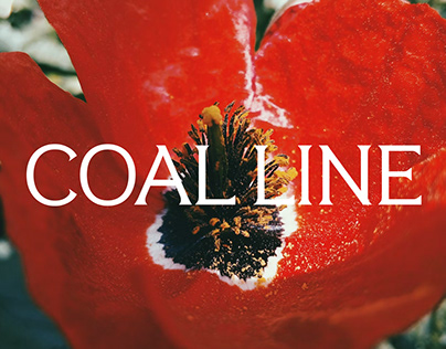 Peckham Coal Line Identity