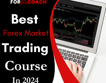 Best Forex Market Trading Course in 2024