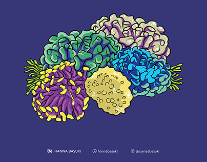 corals illustration