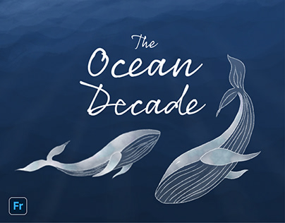 The Ocean Decade