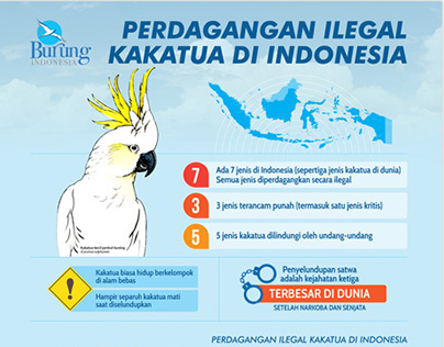 Poster Perdagangan Ilegal Kakatua di Indonesia