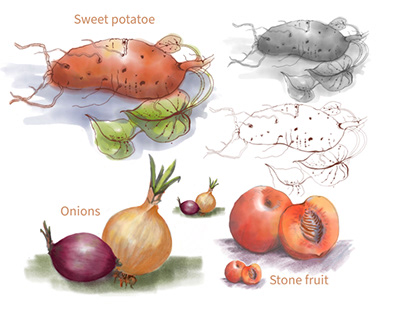 Botanicals of farm produce