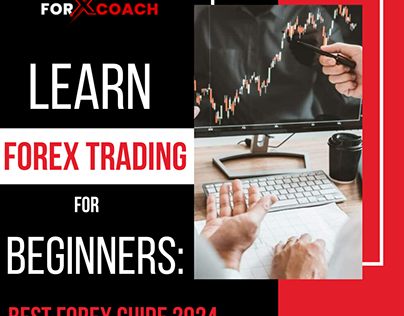 Learn Forex Trading For Beginners: Forex Guide 2024