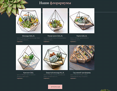 Сайт-каталог магазина флорариумов