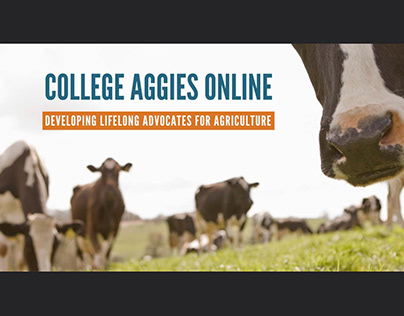 Participant in 22' College Aggies Online