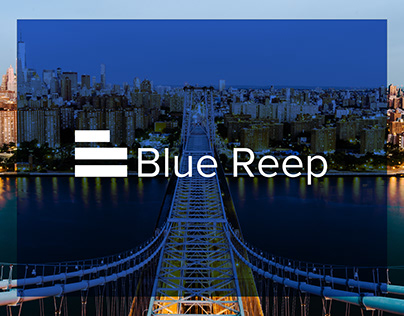 Project thumbnail - Blue reep | Real estate brand identity