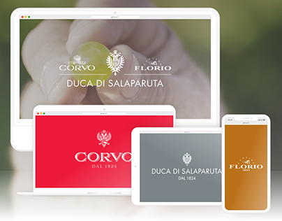 Duca di Salaparuta // New Website Branding | UX | UI