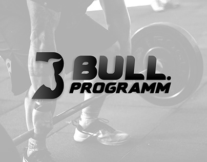 Bull Programm
