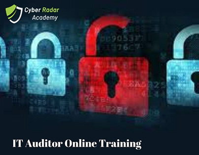Learn to Become An IT Auditor Training Online