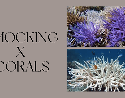 Smocking X Corals