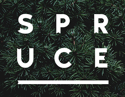 Spruce – Typeface