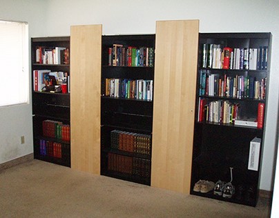 space-saving college dorm bookshelf/workspace/wardrobe 