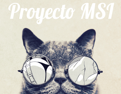 MSI Project