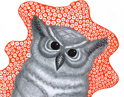 Werid Owl