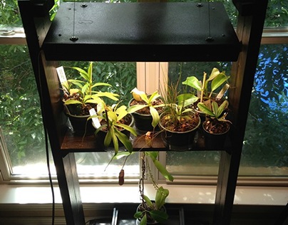 Lighted Indoor Plant Stand