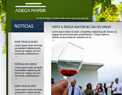 Adega Mayor Newsletter