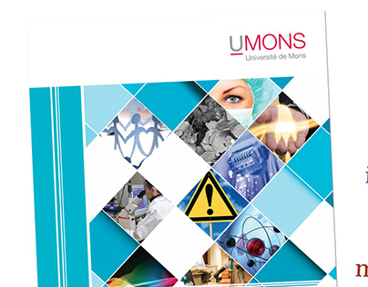 Brochure "Instituts de Recherche" UMONS