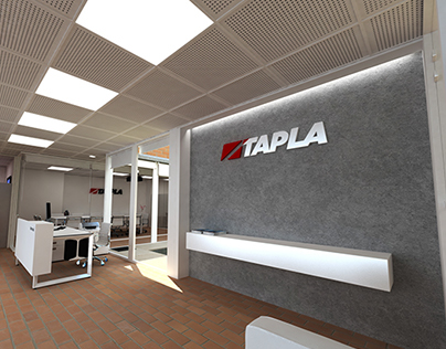 Project decoration Offices Tapla