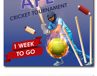 APL Cricket Tournament