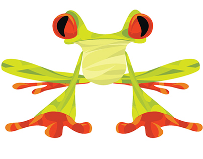 BRANDING | Frog Design