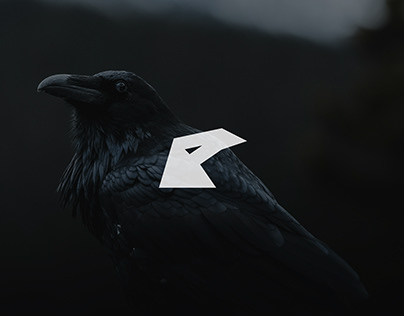 Rowena Ravenclaw Projects  Photos, videos, logos, illustrations and  branding on Behance