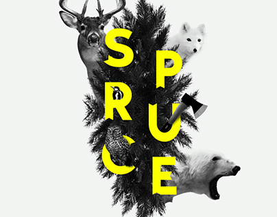 Spruce - Collage