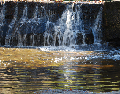 10-2014 Fall Creek Falls