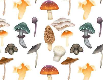 Mushroom Pattern Play