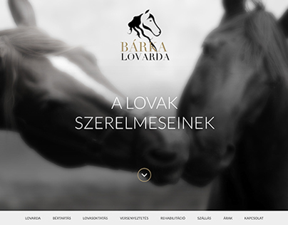 Bárka Lovarda webdesign concept