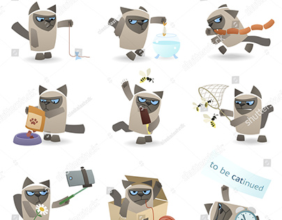 Grumpy Siamese cat. Vector set of funny situations.