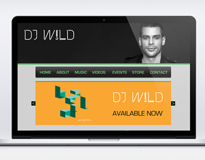 DJ W!LD - Website Concept