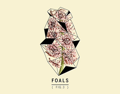 FOALS | Cd Box Set - Edición de Lujo 