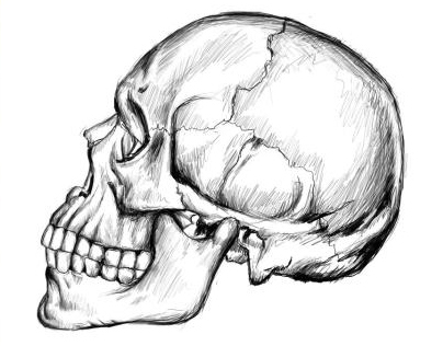 Skull speed-drawing - 1 hour timelapse