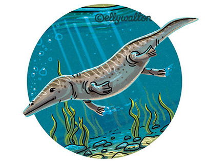Whale & Dolphin Magazine: Spot Illustrations
