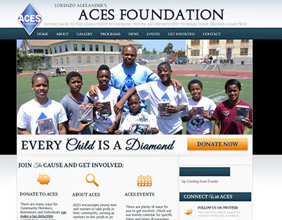 Lorenzo Alexander's ACES Foundation - NFL PLayer