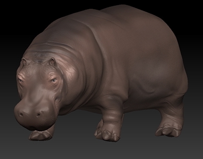 Hippopotamus Zbrush
