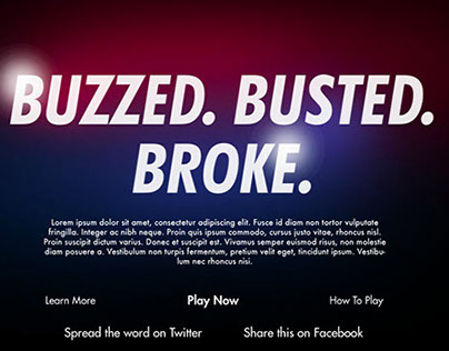 Buzzed. Busted. Broke. Facebook Game